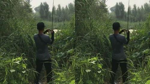 小鱼吃瓜群众,揭秘网络舆论场的众生相