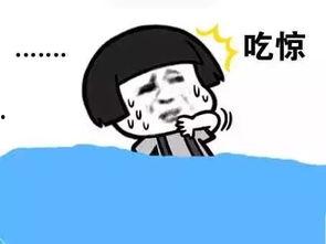 小鱼吃瓜群众,揭秘网络舆论场的众生相