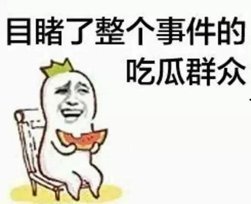 小鱼吃瓜群众,揭秘网络舆论场的众生相