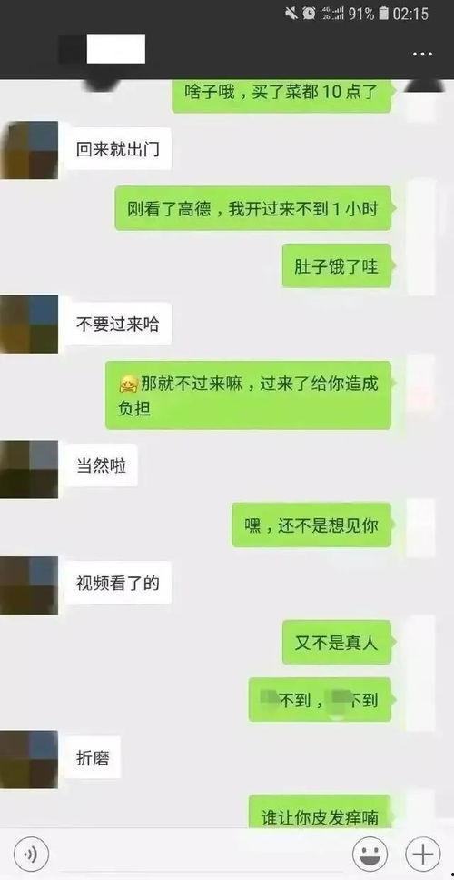 恶心吃瓜聊天记录,一场关于恶心的趣味聊天记录揭秘