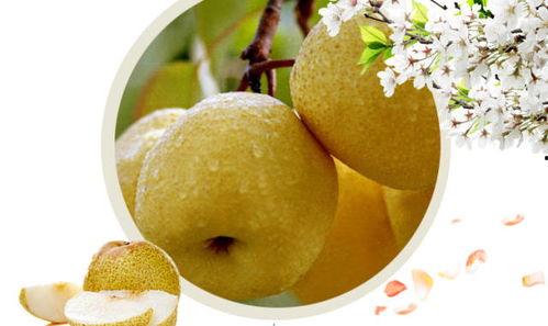 吃酥瓜过敏,揭秘美味背后的风险与应对策略