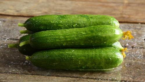 减肥吃的瓜蔬菜,减肥路上的美味伴侣