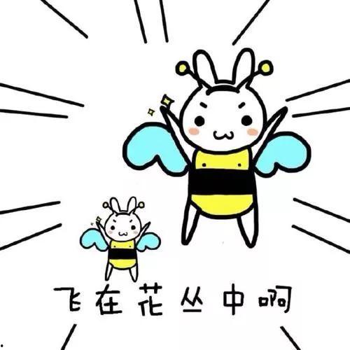 带你吃瓜ao绘画,带你领略“带你吃瓜ao绘画”的独特魅力