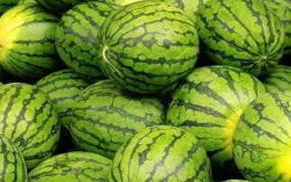 郓城利民街吃瓜,夏日吃瓜盛宴，品味民俗风情