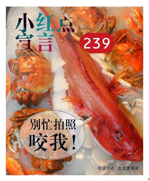 小红吃大瓜,揭秘娱乐圈幕后故事