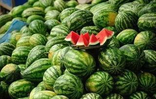 吃瓜网五一官网,吃瓜网官网带你畅游美食盛宴！