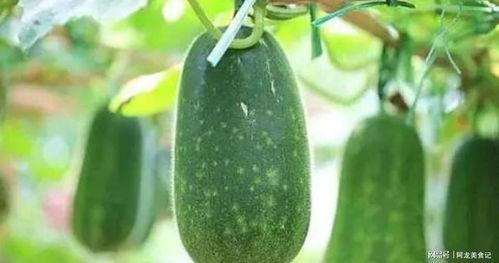 七月吃瓜作品,盘点年度热门吃瓜作品