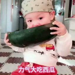 可爱宝贝头像吃瓜视频,可爱宝贝头像视频萌翻网友