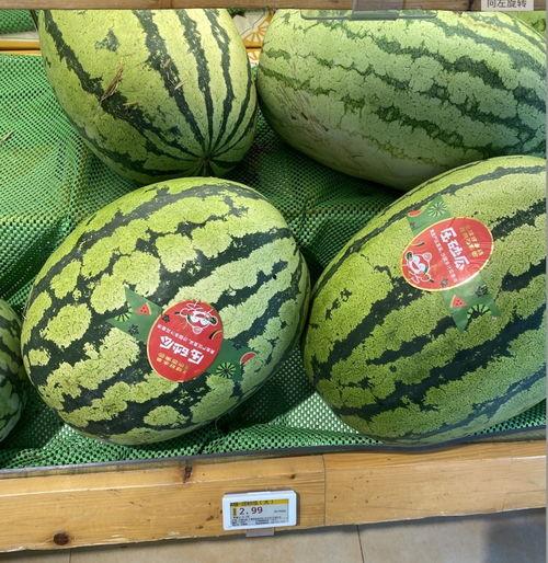 水果店买瓜吃瓜,水果店买瓜吃瓜的甜蜜时光