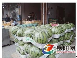 水果店买瓜吃瓜,水果店买瓜吃瓜的甜蜜时光