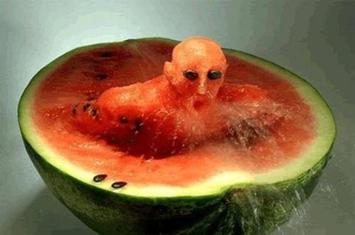 切瓜秘籍夏日优雅吃瓜,切瓜秘籍解锁优雅吃瓜新境界