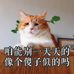 傻子吃瓜表情包