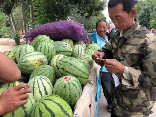 甘肃金昌吃瓜,甘肃金昌的甜蜜食光之旅
