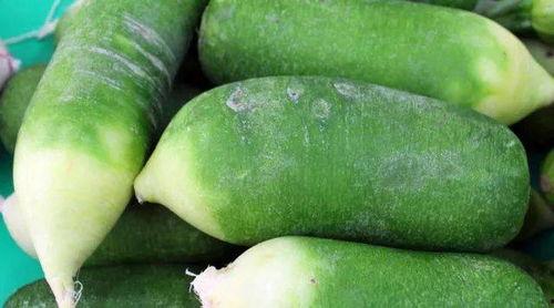 梦见吃腌蒲瓜,探寻腌蒲瓜背后的神秘寓意