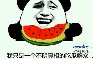 吃瓜群众群意思,网络时代的围观力量