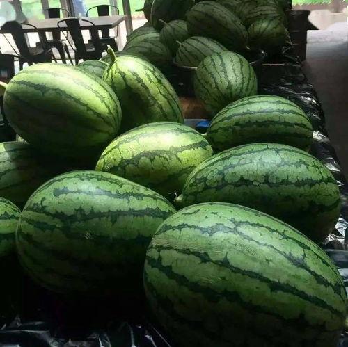 吃瓜7小时,连续7小时吃瓜大作战，究竟发生了什么？