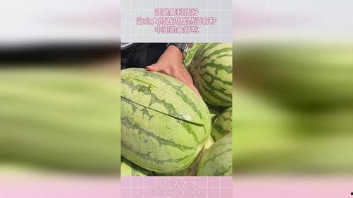 中央花园吃瓜,瓜香四溢，邻里共享欢乐时光