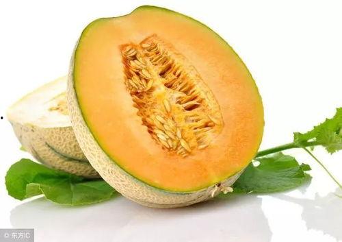 51朝阳吃瓜地址,探寻网络红人背后的故事