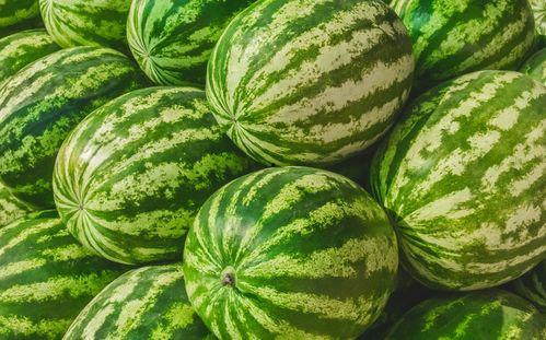 梦见在水边吃瓜,水边瓜香，揭秘梦境中的清凉时光