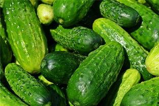 梦见在水边吃瓜,水边瓜香，揭秘梦境中的清凉时光