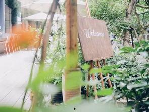 树下吃瓜拍照图片,定格夏日美好时光