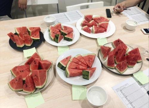 吃瓜美食大测评,探寻夏日消暑佳品，揭秘网红美食真相