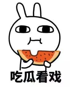 吃瓜接盘,揭秘网络热词背后的故事