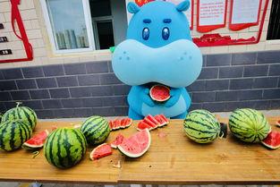 马姑娘吃瓜,马姑娘的瓜田奇遇记