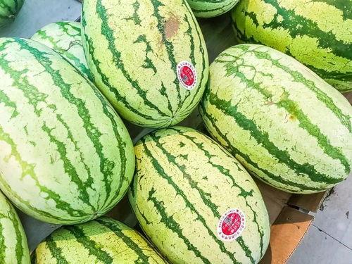 江苏江阴吃瓜事件,一场网络热议背后的真相探寻