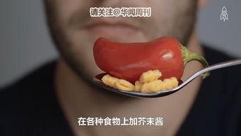 河北清苑吃瓜,夏日吃瓜盛宴，品味乡村生活韵味