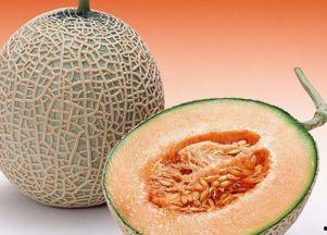 张妍吃哈密瓜,哈密瓜美食之旅