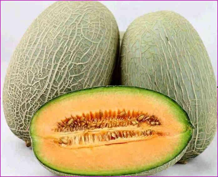 张妍吃哈密瓜,哈密瓜美食之旅