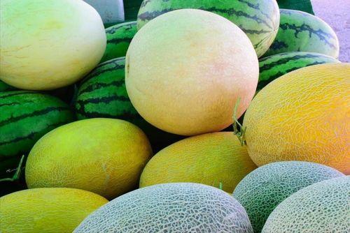 蜜露瓜如何吃才好吃,解锁最佳食用秘诀