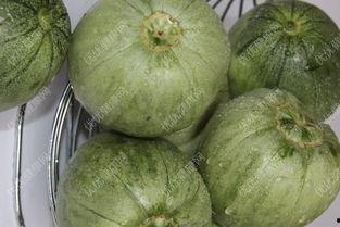 孕妇吃青皮瓜好吗,孕妇食用青皮瓜的适宜性探讨