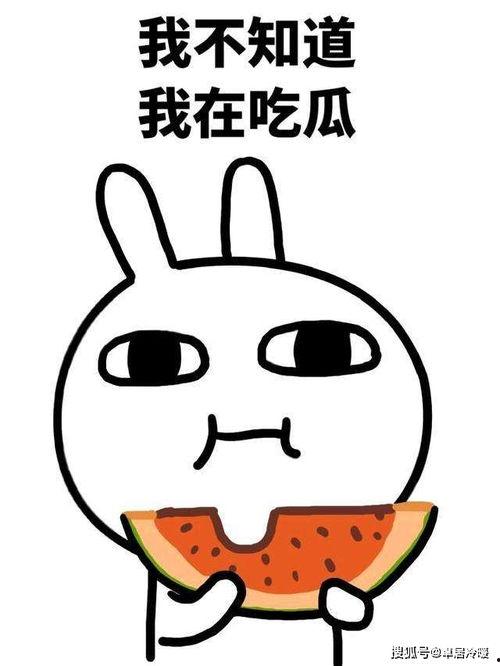 吃瓜双倍快乐,快乐加倍！揭秘娱乐圈那些事儿