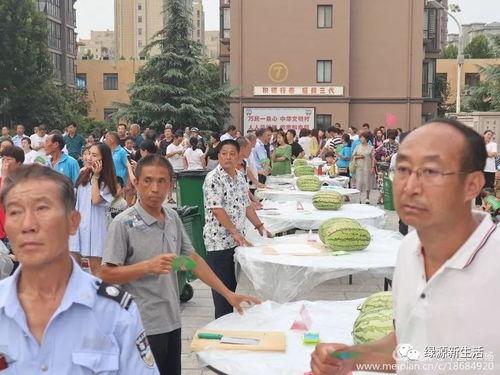 办公室吃瓜现场,揭秘职场八卦背后的真相