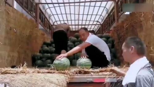 办公室吃瓜现场,揭秘职场八卦背后的真相