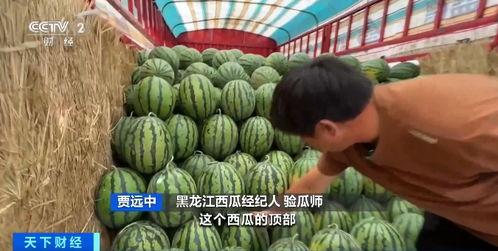 绿洲吃瓜在哪里,揭秘热门话题背后的秘密