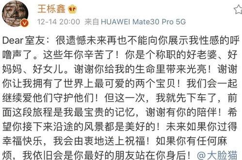 离婚吃瓜心声,吃瓜群众的内心独白