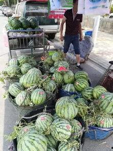 西安理性吃瓜事件,网络舆论的冷静反思与启示