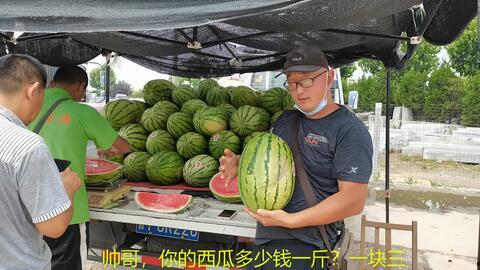 西瓜视频吃红瓜,揭秘红瓜的独特魅力与食用体验