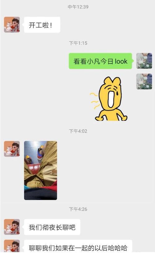 吃瓜锤子,网络热词背后的文化现象