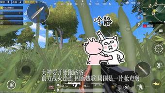 阿麻吃呆瓜,一场欢乐的美食之旅