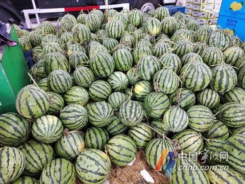 宁波夏天吃的瓜,夏日消暑美食大盘点