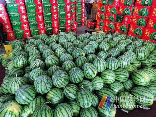 宁波夏天吃的瓜,夏日消暑美食大盘点