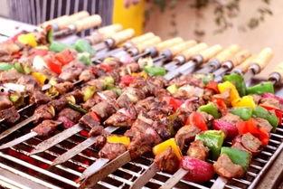 野餐bbq吃瓜,吃瓜畅谈，共享美好时光