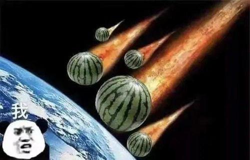 吃瓜吃错的文案