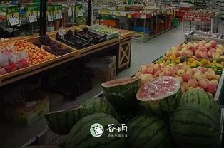 吃瓜群众东新村