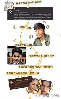 炒作吃瓜,揭秘网络炒作背后的真相