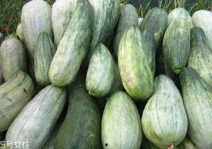 做梦吃酥瓜,一场味蕾与心灵的奇幻之旅